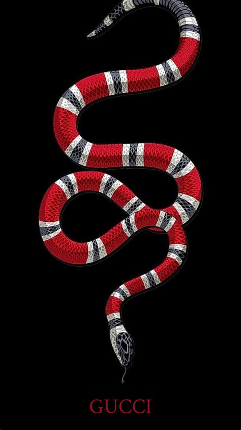 gucci serpent|snake in Gucci.